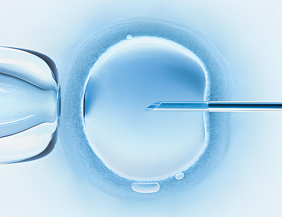HumArGam: Ei- und Samenzellen aus der Retorte